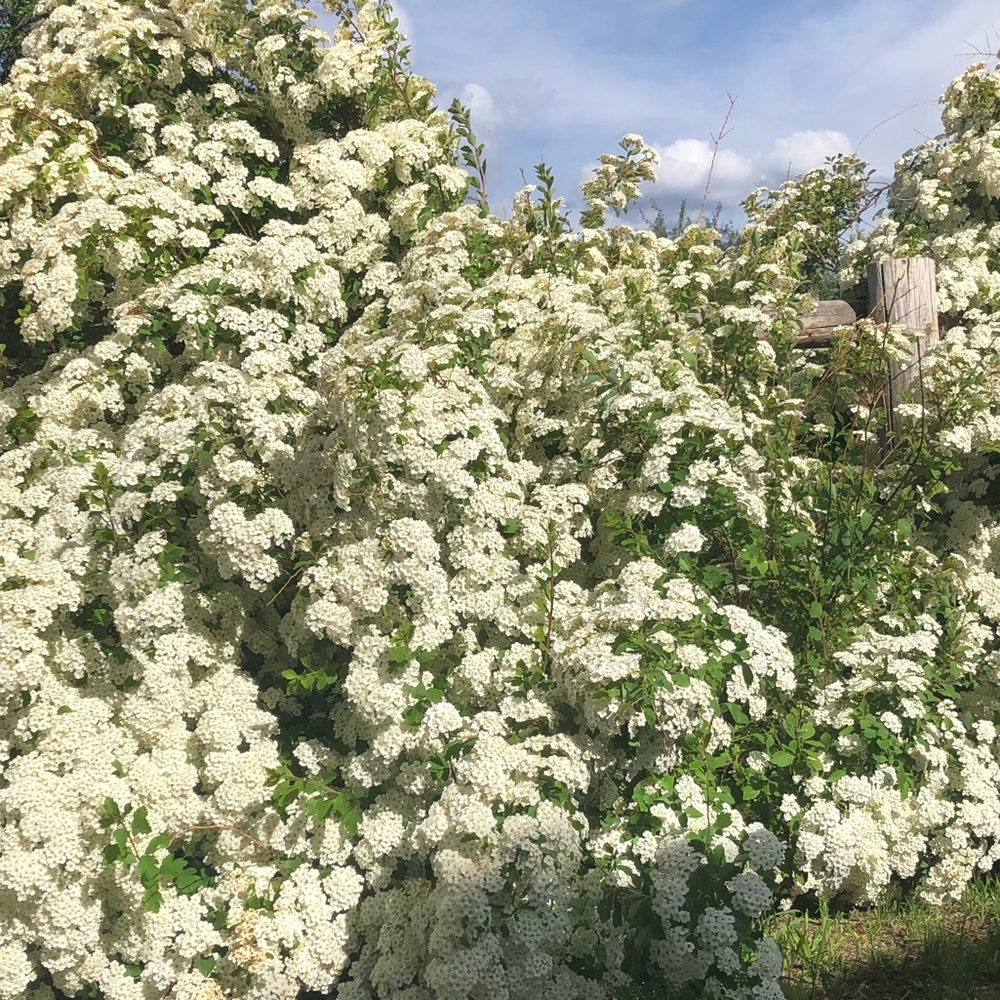 Meet your Posher, Kerri